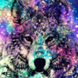 Meet your Posher, Abbygail